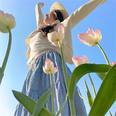 蜜月岛